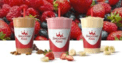 Smoothie King Logo